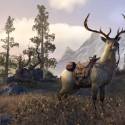 Elder Scrolls Online